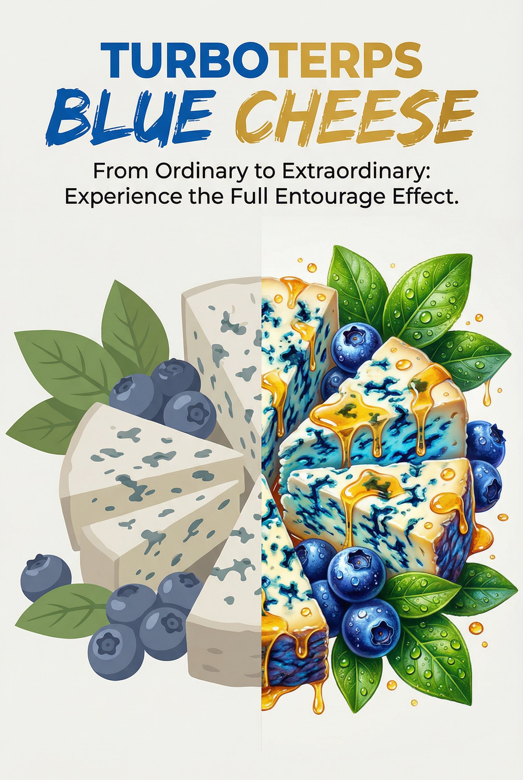Blue Cheese Terpene Strain