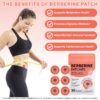 Berberine 5 Berberine Slimming Patches packof 30