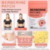 Berberine 6 Berberine Slimming Patches packof 30