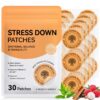 Stress 5 Stress Down Patches pack of 30