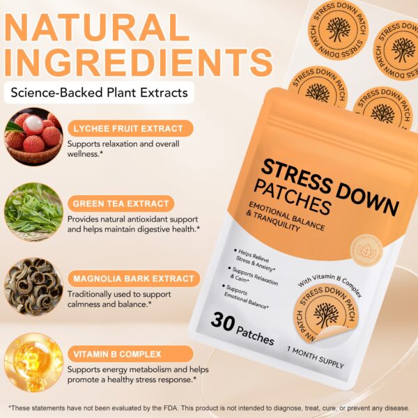 Stress 6 1 Stress Down Patches pack of 30
