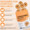 Stress 9 1 Stress Down Patches pack of 30